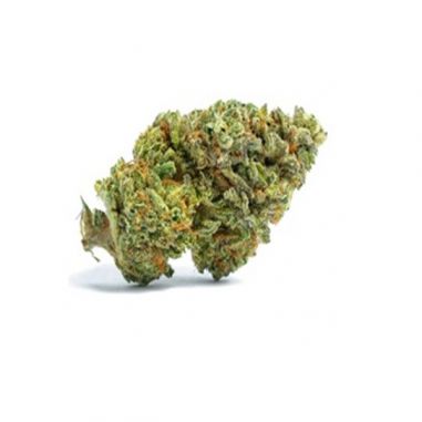 First CBD - Amnesia L.A.