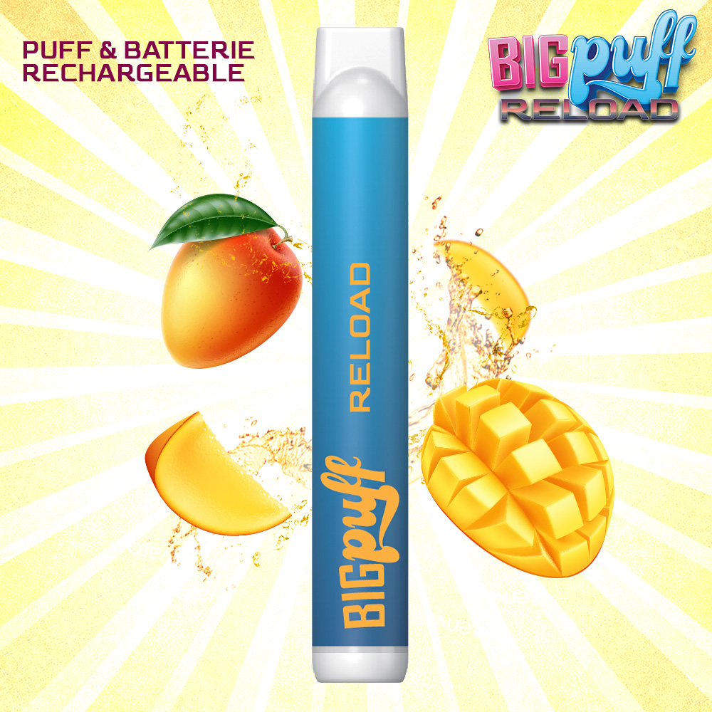 Kit recheargeable Big Puff Reload + 1 recharge